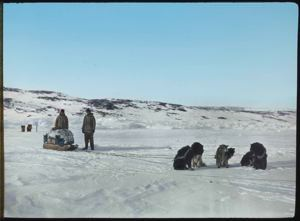 Image: Dog Team in North Greenland